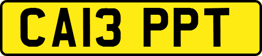 CA13PPT