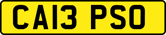 CA13PSO