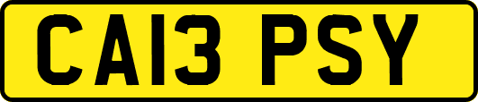 CA13PSY