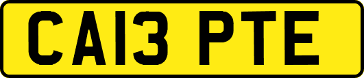 CA13PTE