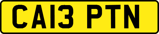 CA13PTN