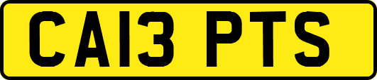 CA13PTS