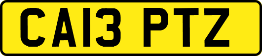 CA13PTZ