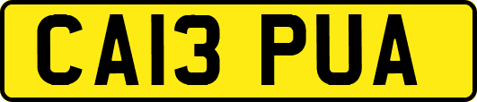 CA13PUA