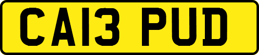 CA13PUD