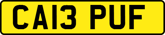 CA13PUF
