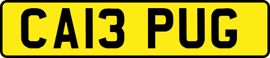 CA13PUG