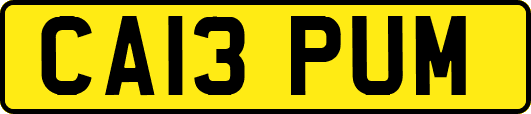 CA13PUM
