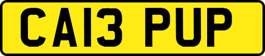 CA13PUP