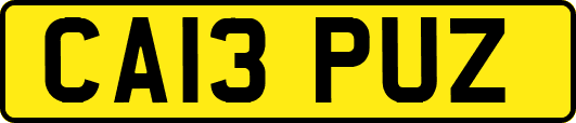 CA13PUZ