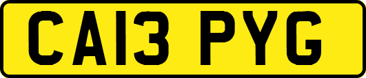 CA13PYG