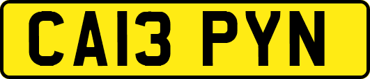 CA13PYN