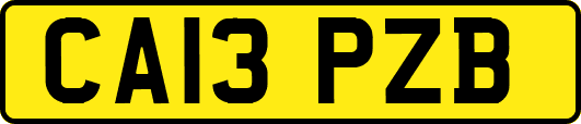 CA13PZB