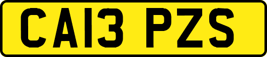 CA13PZS