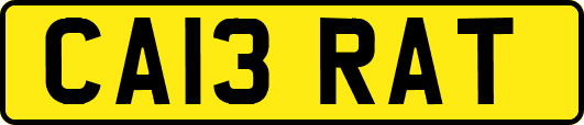 CA13RAT