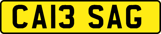 CA13SAG