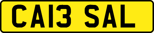 CA13SAL