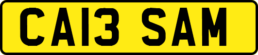 CA13SAM