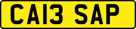 CA13SAP