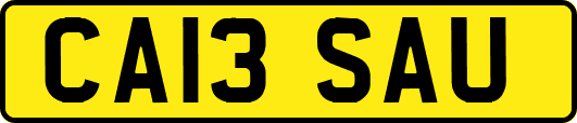 CA13SAU