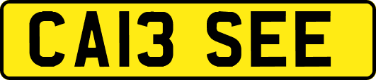 CA13SEE