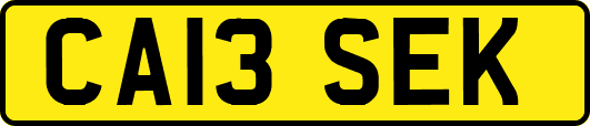 CA13SEK