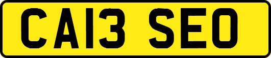 CA13SEO