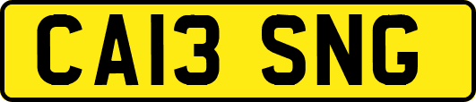 CA13SNG
