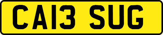 CA13SUG