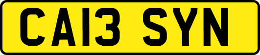 CA13SYN