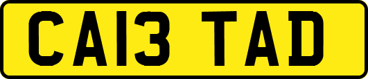 CA13TAD