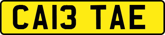 CA13TAE