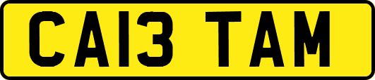 CA13TAM