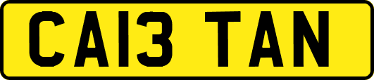 CA13TAN