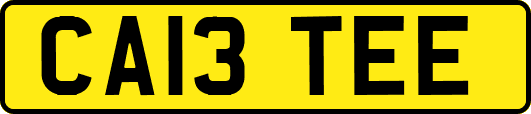 CA13TEE