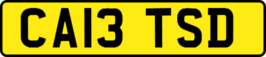 CA13TSD