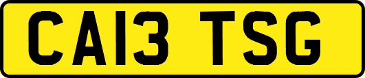 CA13TSG