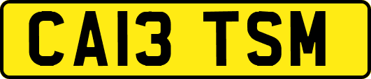 CA13TSM