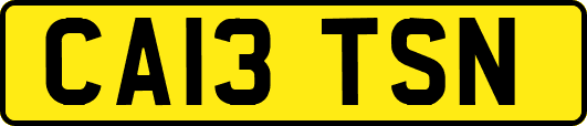 CA13TSN