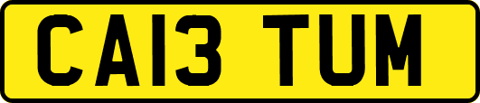 CA13TUM