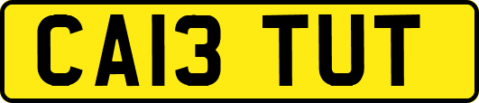 CA13TUT