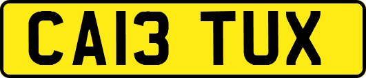 CA13TUX