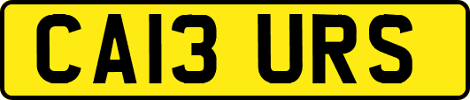 CA13URS