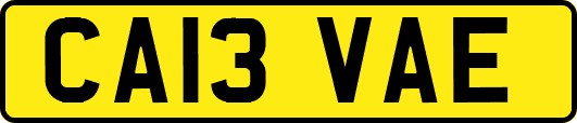 CA13VAE