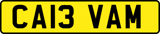 CA13VAM