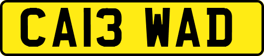 CA13WAD