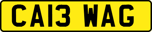 CA13WAG
