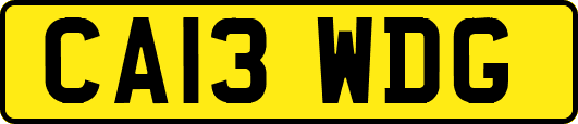 CA13WDG