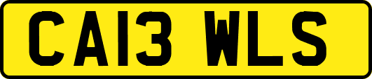 CA13WLS