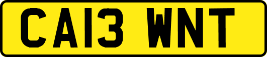 CA13WNT